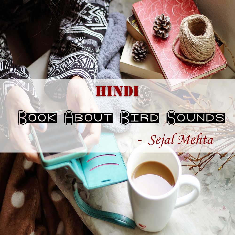 Did You Hear_ Early nature book about bird sounds 