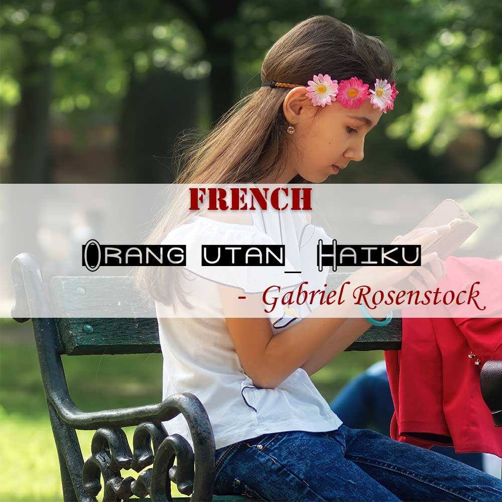 Orang utan_ Haiku set to images for older children