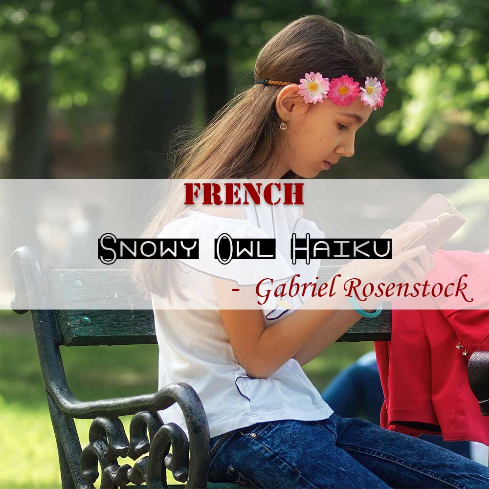 Snowy Owl Haiku for older children