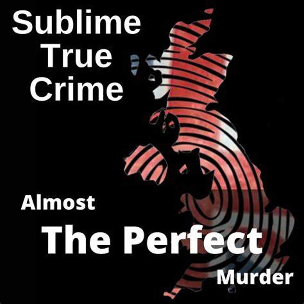 The Almost Perfect Murder